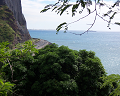Cliquez ici pour voir l'image (run08086.jpg)
