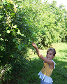 Cliquez ici pour voir l'image (run08095.jpg)