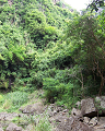 Cliquez ici pour voir l'image (run08050.jpg)