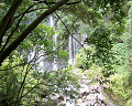 Cliquez ici pour voir l'image (run08143.jpg)