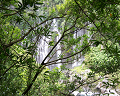 Cliquez ici pour voir l'image (run08146.jpg)