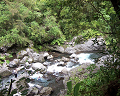 Cliquez ici pour voir l'image (run08148.jpg)