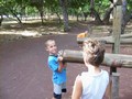 videos