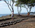 Cliquez ici pour voir l'image (run08014.jpg)