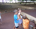 Cliquez ici pour voir l'image (run08020.jpg)