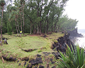 Cliquez ici pour voir l'image (run08106.jpg)