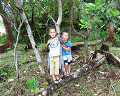 Cliquez ici pour voir l'image (run08111.jpg)