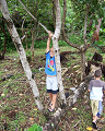 Cliquez ici pour voir l'image (run08112.jpg)