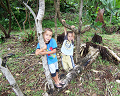 Cliquez ici pour voir l'image (run08113.jpg)