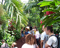 Cliquez ici pour voir l'image (run08124.jpg)