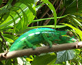 Cliquez ici pour voir l'image (run08128.jpg)