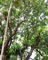 Cliquez ici pour voir l'image (run08133.jpg)