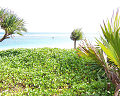 Cliquez ici pour voir l'image (run08074.jpg)