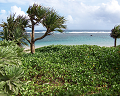 Cliquez ici pour voir l'image (run08075.jpg)