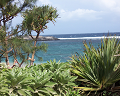 Cliquez ici pour voir l'image (run08078.jpg)
