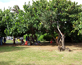 Cliquez ici pour voir l'image (run08079.jpg)